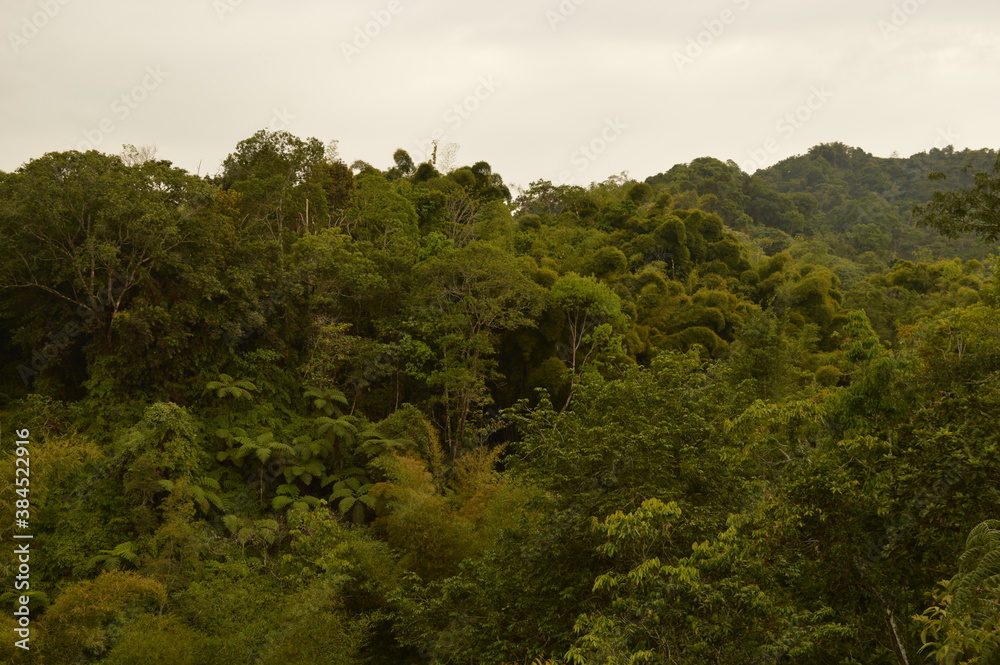 The Colombian rainforest and mountain landscapes of the Sierra Nevada de Santa Maria region The Colombian rainforest and mountain landscapes of the Sierra Nevada de Santa Maria region