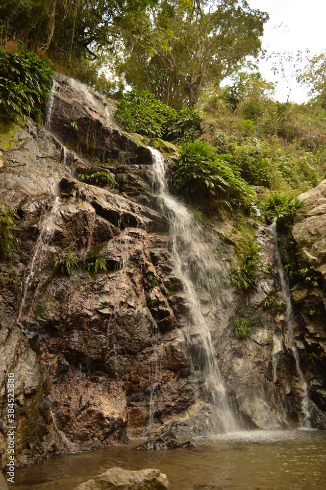 Naklejka premium The Colombian rainforest and mountain landscapes of the Sierra Nevada de Santa Maria region