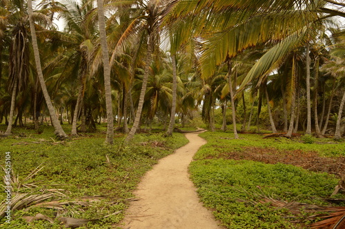 The stunning beaches and mountains of Parque Nacional Natural Tayrona in Santa Marta region of Colombia © ChrisOvergaard