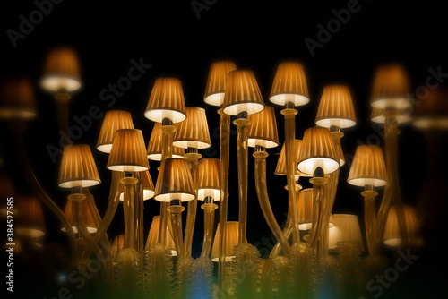 World of Fungi