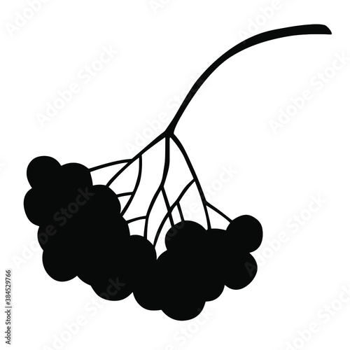 
Autumn Rowan berries silhouette  isolated on white background. Vector illustration of foliage in black and white.