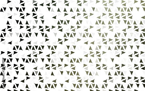 Light Green vector layout with lines  triangles.