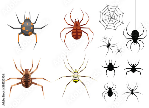 Spider vector design illustration isolated on white background © Emil