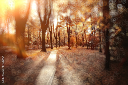 Abstract blurred background of an autumn park / beautiful landscape with highlights and bokeh on a sunny day in a yellow autumn city park