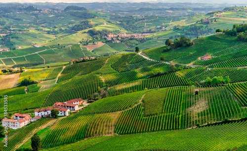 View of vineyards in Barolo region in Piemonte - Piedmont.