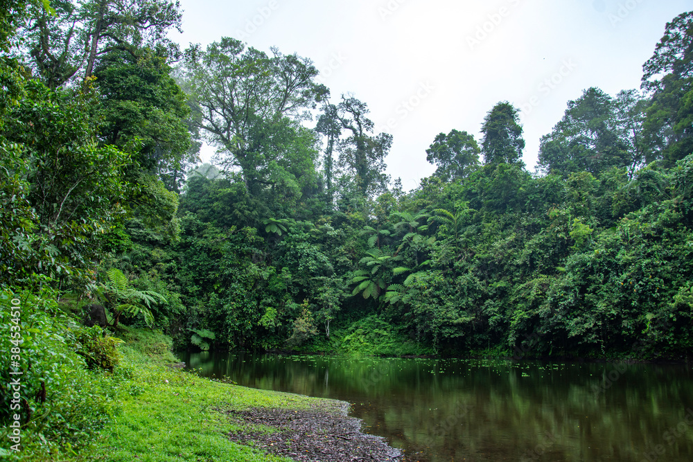 lake in the middle of the forest. Early spring in the mountains. The calm surface of the lake reflects dense forest. Magical and mysterious lake in the middle of the forest. Early spring in the mountains. The calm surface of the lake reflects dense forest. Magical and mysterious