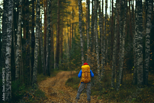 man with backpack a view from the back, hiking in the forest, autumn landscape, the back of tourist with a backpack