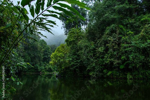 lake in the middle of the forest. Early spring in the mountains. The calm surface of the lake reflects dense forest. Magical and mysterious