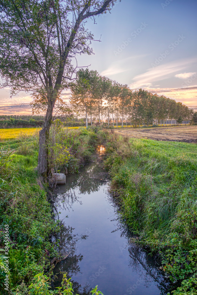 Summer sunset panorama of the countryside area of Lomellina (between Lombardy and Piedmont, Northern Italy); it's famous for its rice cultivations. Color image. Summer sunset panorama of the countryside area of Lomellina (between Lombardy and Piedmont, Northern Italy); it's famous for its rice cultivations. Color image.
