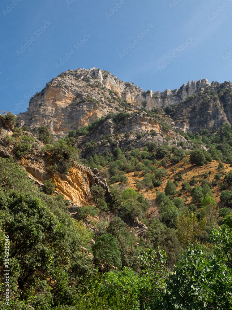 Pine forest and montains along Borosa River trail in Cazorla Natural Park Jaen