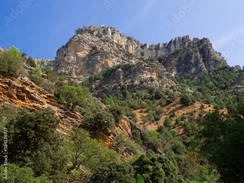 Pine forest and montains along Borosa River trail in Cazorla Natural Park Jaen