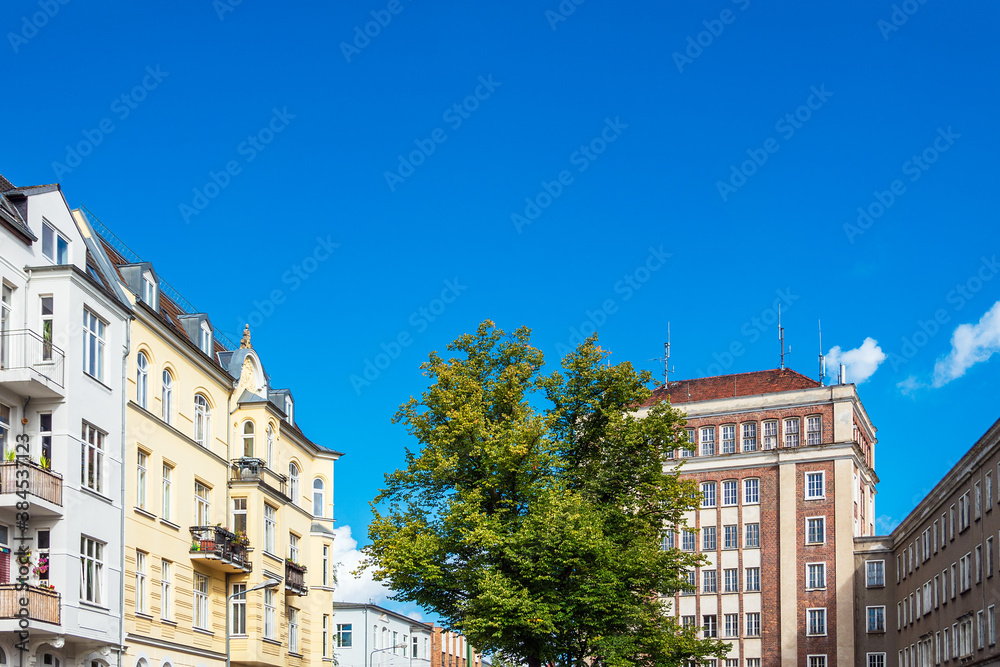 Gebäude und Baum in der Blücherstraße in der Hansestadt Rostock
