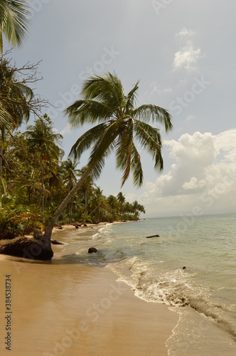 Fototapeta Naklejka Na Ścianę i Meble -  The picture perfect beaches of the beautiful Bocas Del Toro islands in Panama, Caribbean