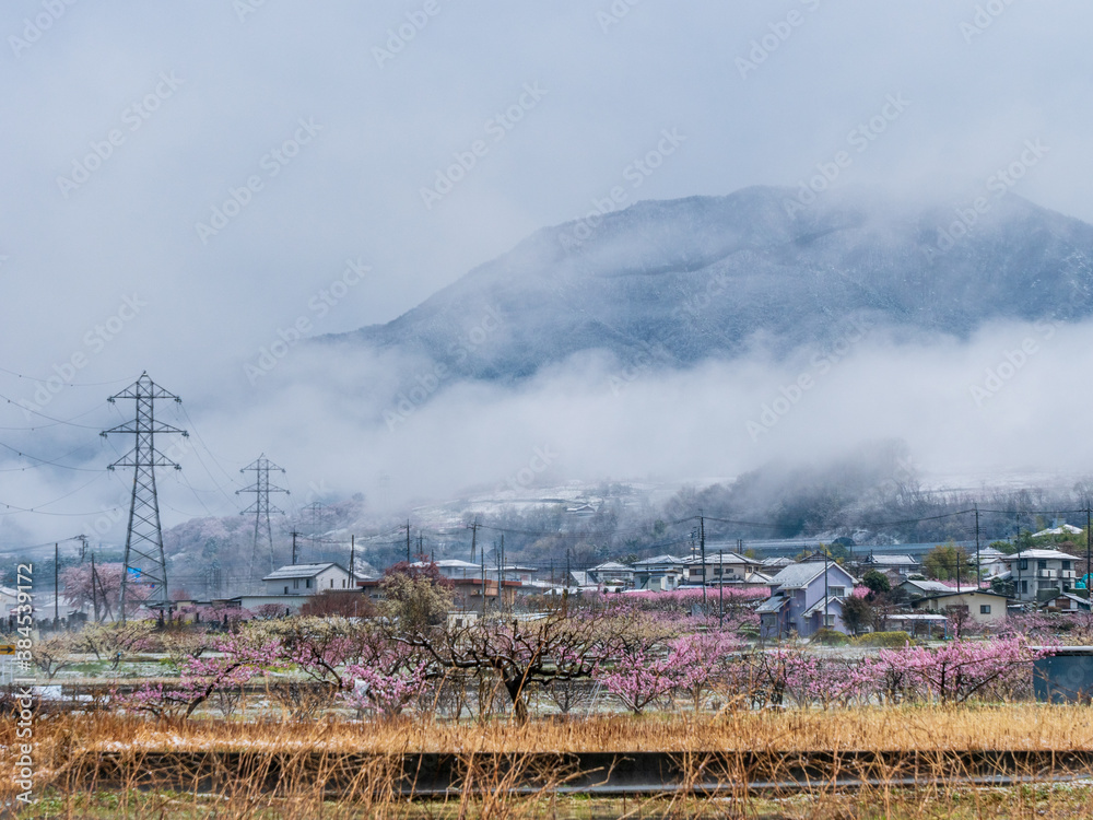 Frosty scenery in the Japanese countryside in Winter