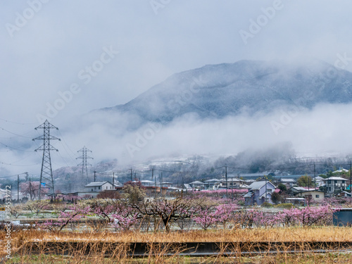 Frosty scenery in the Japanese countryside in Winter © Peter Austin