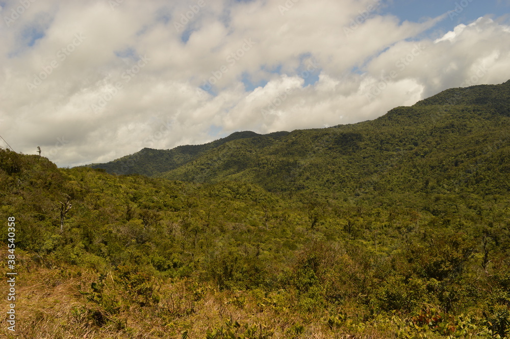 The stunning beaches and nature around the Bocas del Toro islands in the Caribbean, Panama The stunning beaches and nature around the Bocas del Toro islands in the Caribbean, Panama