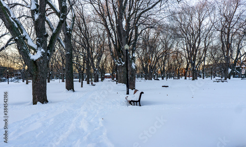 Montreal's park after the snow storm