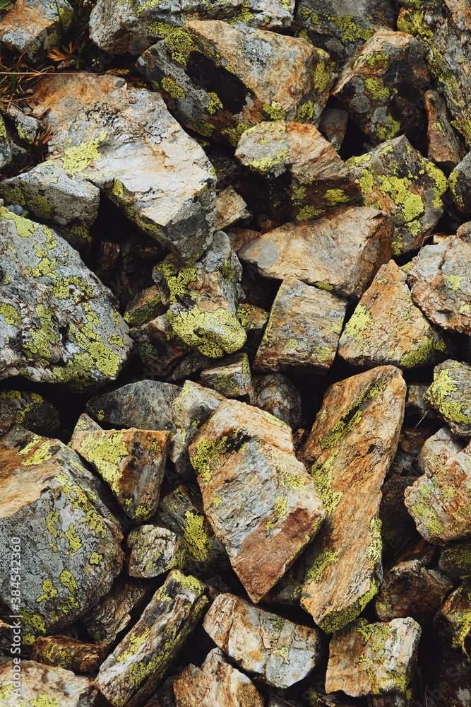 stone and moss texture. rocks. mountainside