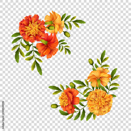 Marigold Flowers Design photo