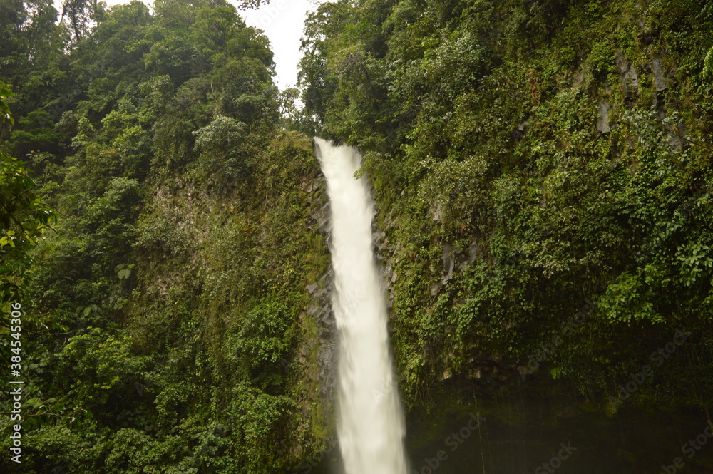 Fototapeta premium The cloud forests and waterfalls outside Arenal in Costa Rica, Central America