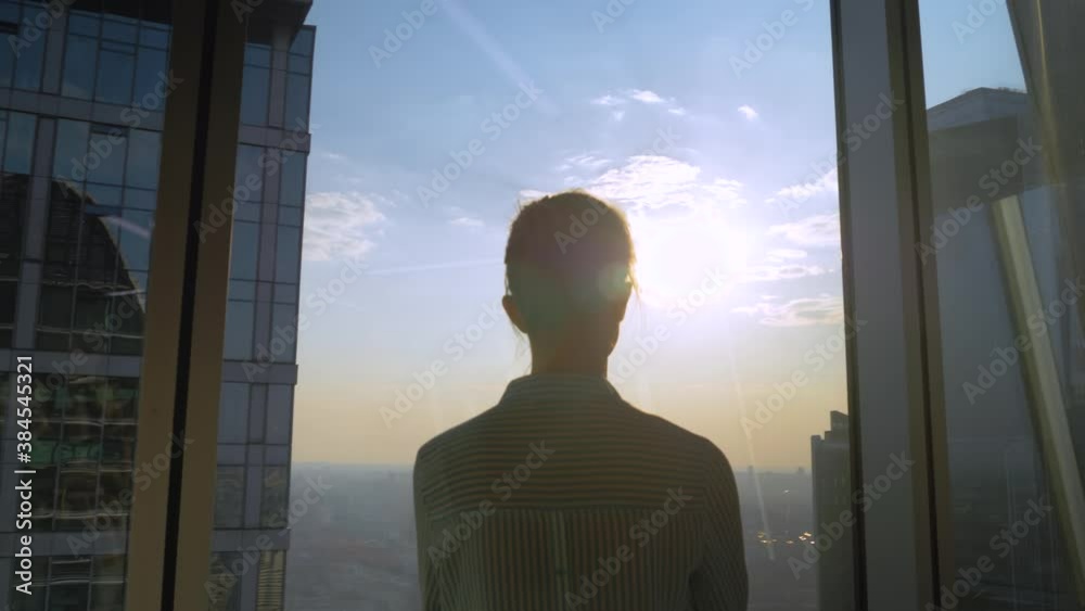 Success, opportunity, sightseeing, discover, corporate, future concept. Back view of pensive woman silhouette looking at cityscape through window of skyscraper. Summer time, sun lens flare, daylight