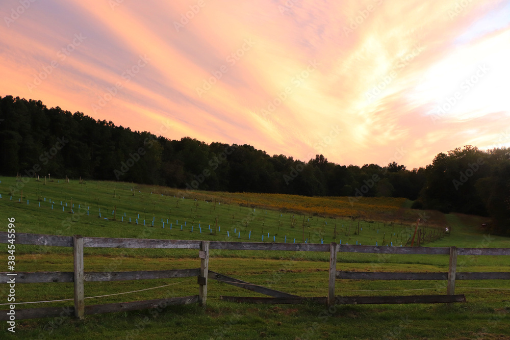 Sunset at a Virginia vineyard, September 2020