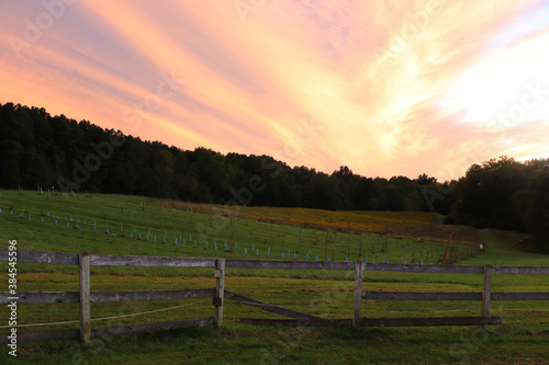 Sunset at a Virginia vineyard, September 2020
