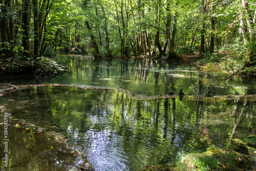 Fototapeta Naklejka Na Ścianę i Meble -  Bassins créés par des barrages naturels de tuf appelés gours, en amont de la cascade des Tufs, une chute d'eau de la Cuisance, dans la commune des Planches-près-Arbois dans le Jura