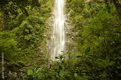 The cloud forests and waterfalls outside Arenal in Costa Rica, Central America © ChrisOvergaard