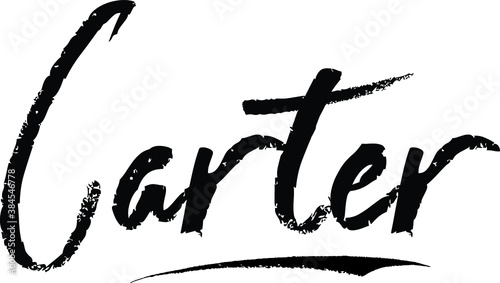 Slika na platnu Carter-Female name Modern Brush Calligraphy on White Background