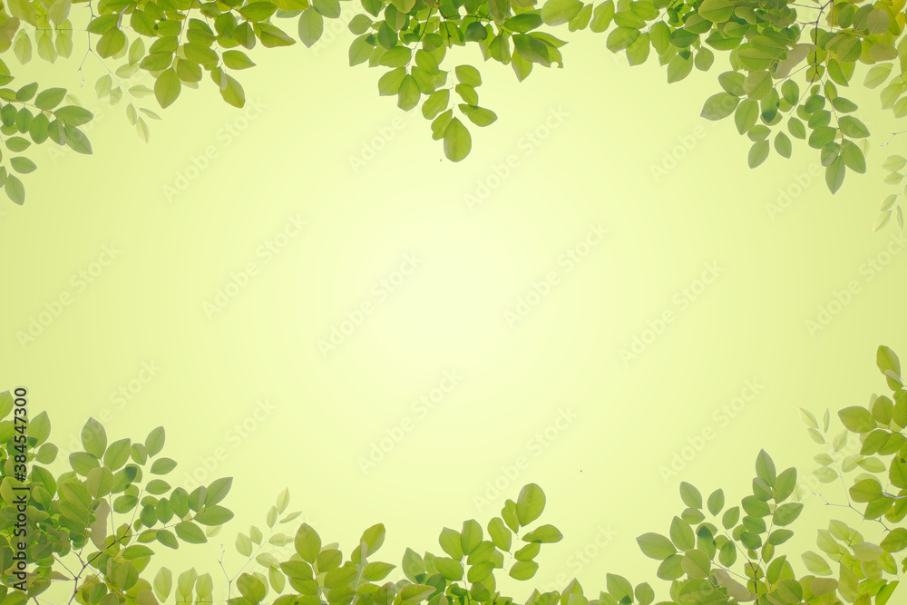 Green leaf frame and space for background.