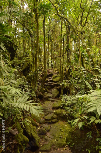 The cloud forests and beaches of beautiful Costa Rica in Central America