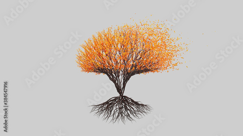 Tree in a spherical shape. Seasonal transition on white background. Eco Concept.
