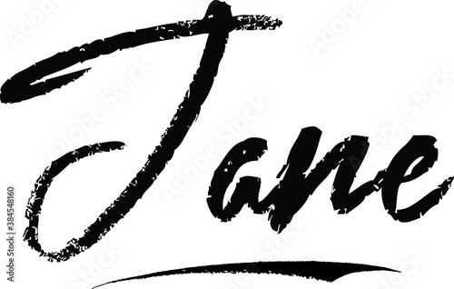 Jane Female name Modern Brush Calligraphy on White Background
