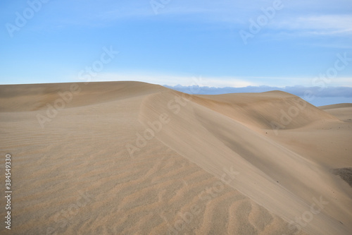 Sand dunes landscape in the desert without people.