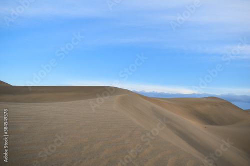 Sand dunes landscape in the desert without people.