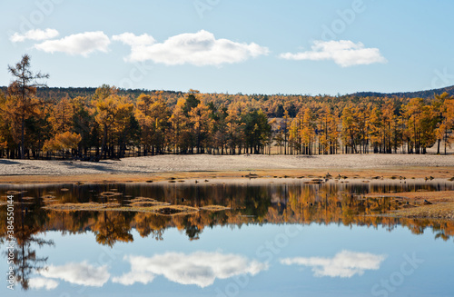 Baikal Lake. Olkhon Island on a sunny October morning. Sarayskiy sandy beach. Yellowed trees are reflected in the water. Beautiful autumn landscape. Natural background