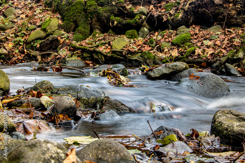 A water cascade in autumn creek with fallen leaves. Water flows around the stones in the river.