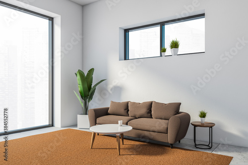 Modern white living room corner with sofa