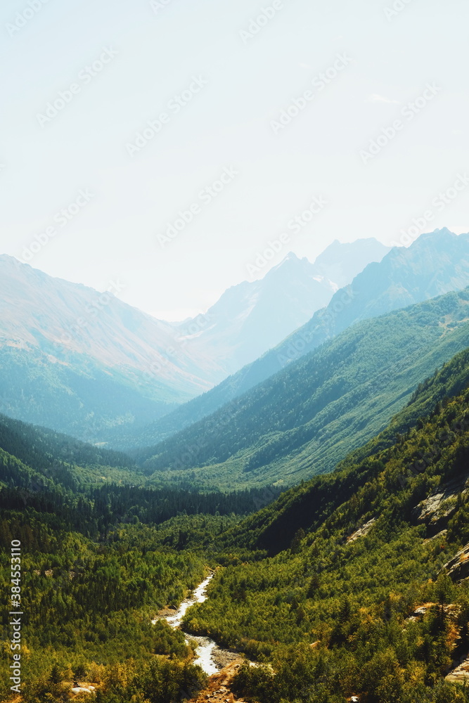 Fototapeta premium hillside.grassy landscape. mountains. forest