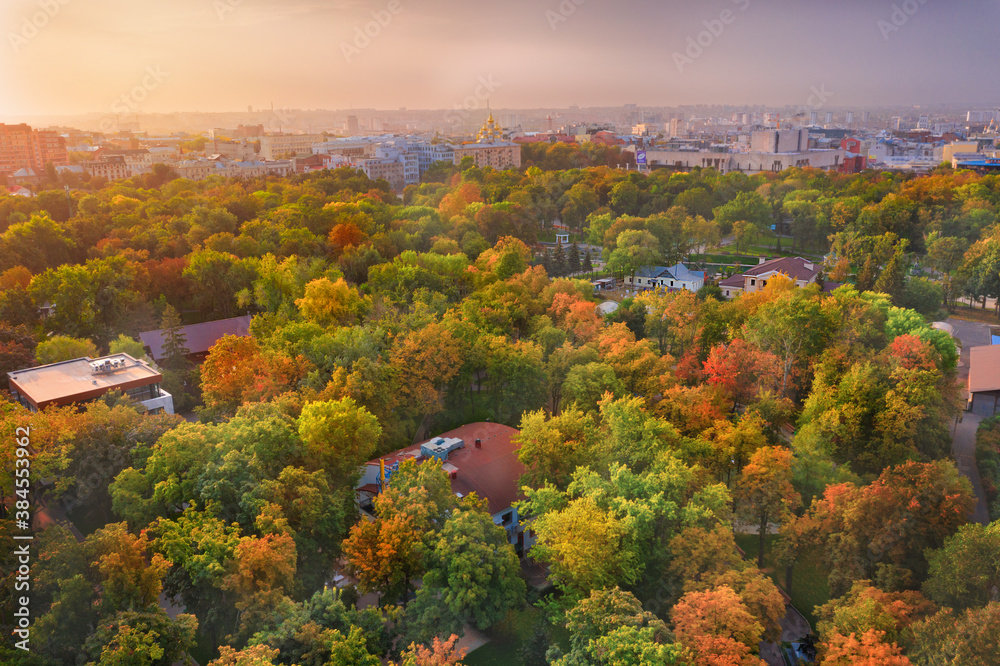 Colorful autumn park - a view of the bright colorful autumn crowns of trees. Yellowed leaves on trees in November in a park in Kharkiv