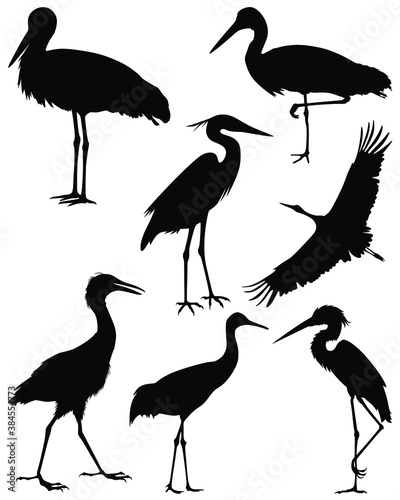 Collection silhouettes of birds. Set of black isolated silhouettes of birds. Set of stork. Vector illustration.
