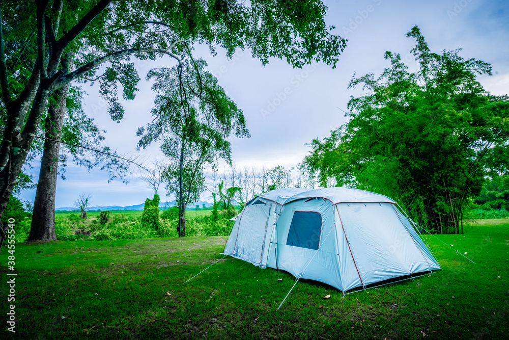 Camping and tent under tree in nature park Camping and tent under tree in nature park