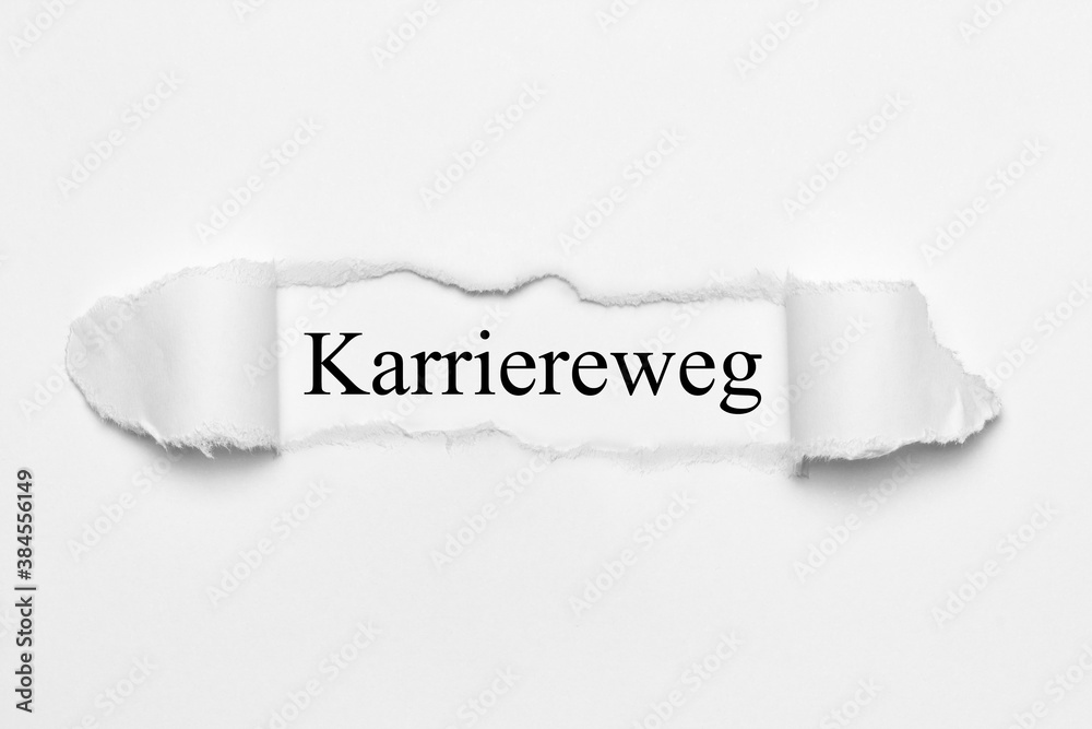 Karriereweg 