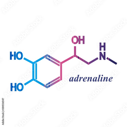 Chemical molecular formula hormone adrenaline. Infographics illustration. Man silhouette