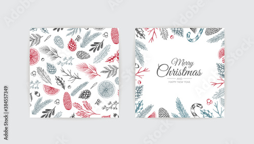 Christmas frame with winter plants. Botanical illustration.