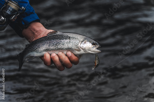 Fototapeta Naklejka Na Ścianę i Meble -  Fishing. Fish in fisherman hands with bait.