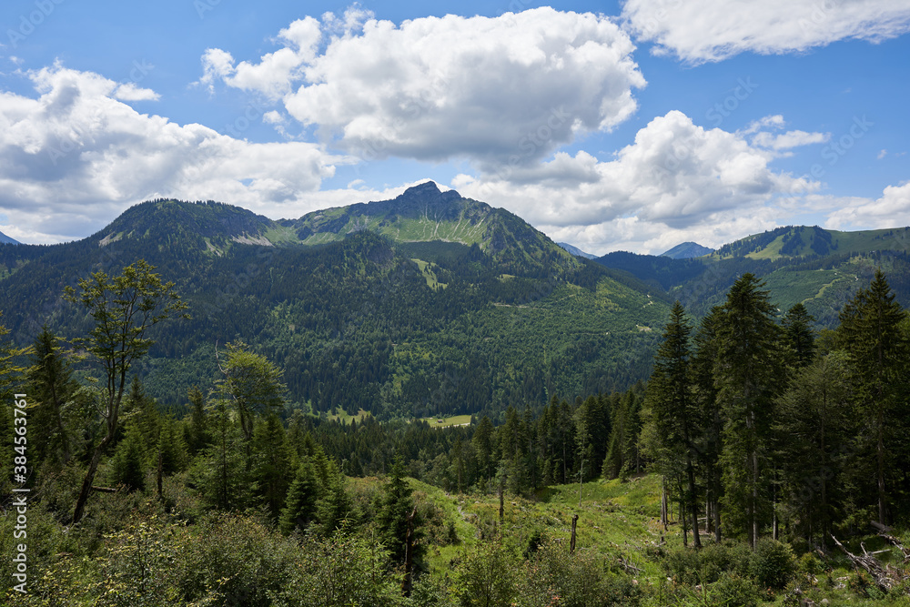 Tannheim mountains in Bavaria, high landform with many green trees, blue sky with white gray clouds, view leads down into the valley. Germany, Ostallgäu.