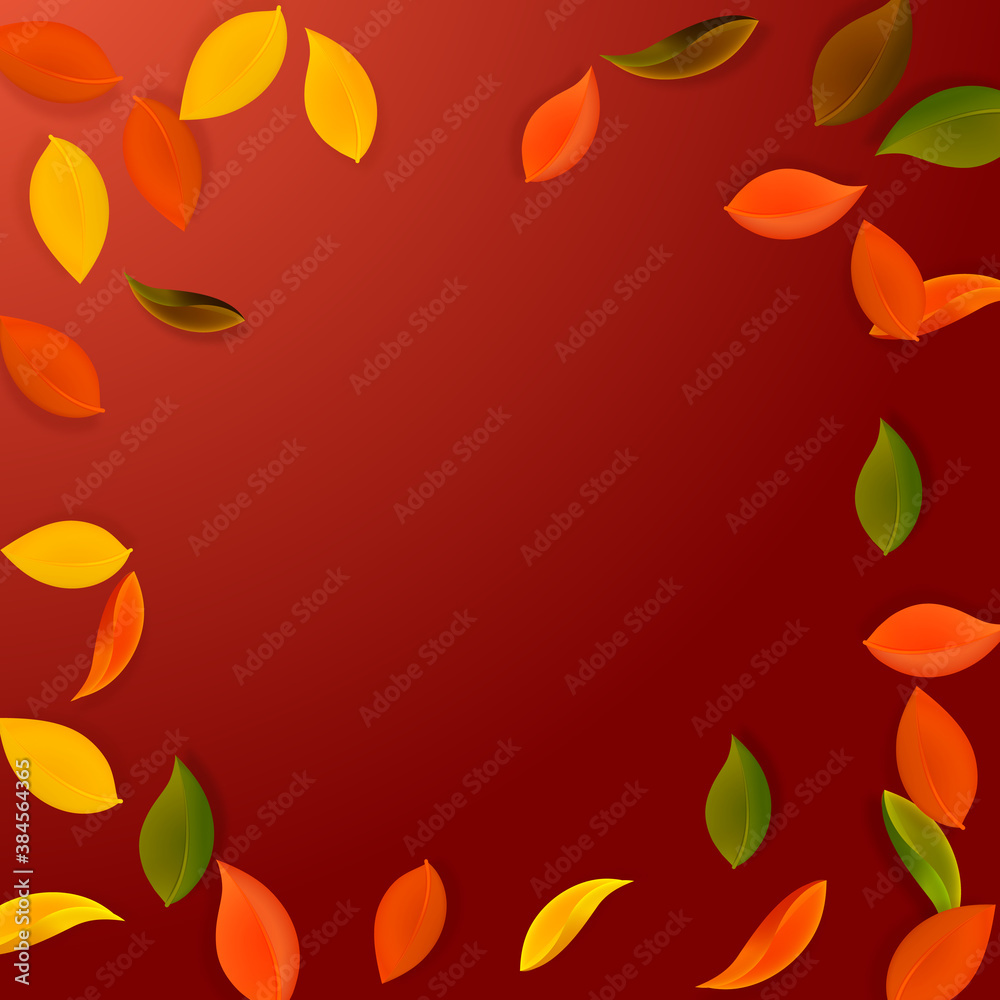 Falling autumn leaves. Red, yellow, green, brown n Falling autumn leaves. Red, yellow, green, brown n