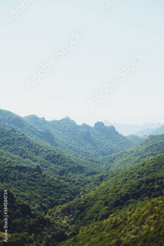 hillside.grassy landscape. mountains. forest. sunny day.